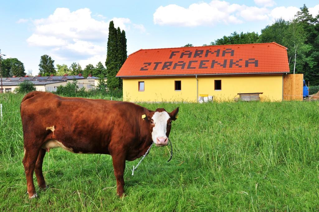 Farma Ztracenka Ξενοδοχείο Porici nad Sazavou Εξωτερικό φωτογραφία