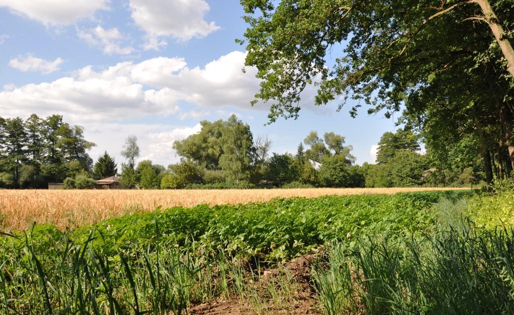 Farma Ztracenka Ξενοδοχείο Porici nad Sazavou Εξωτερικό φωτογραφία