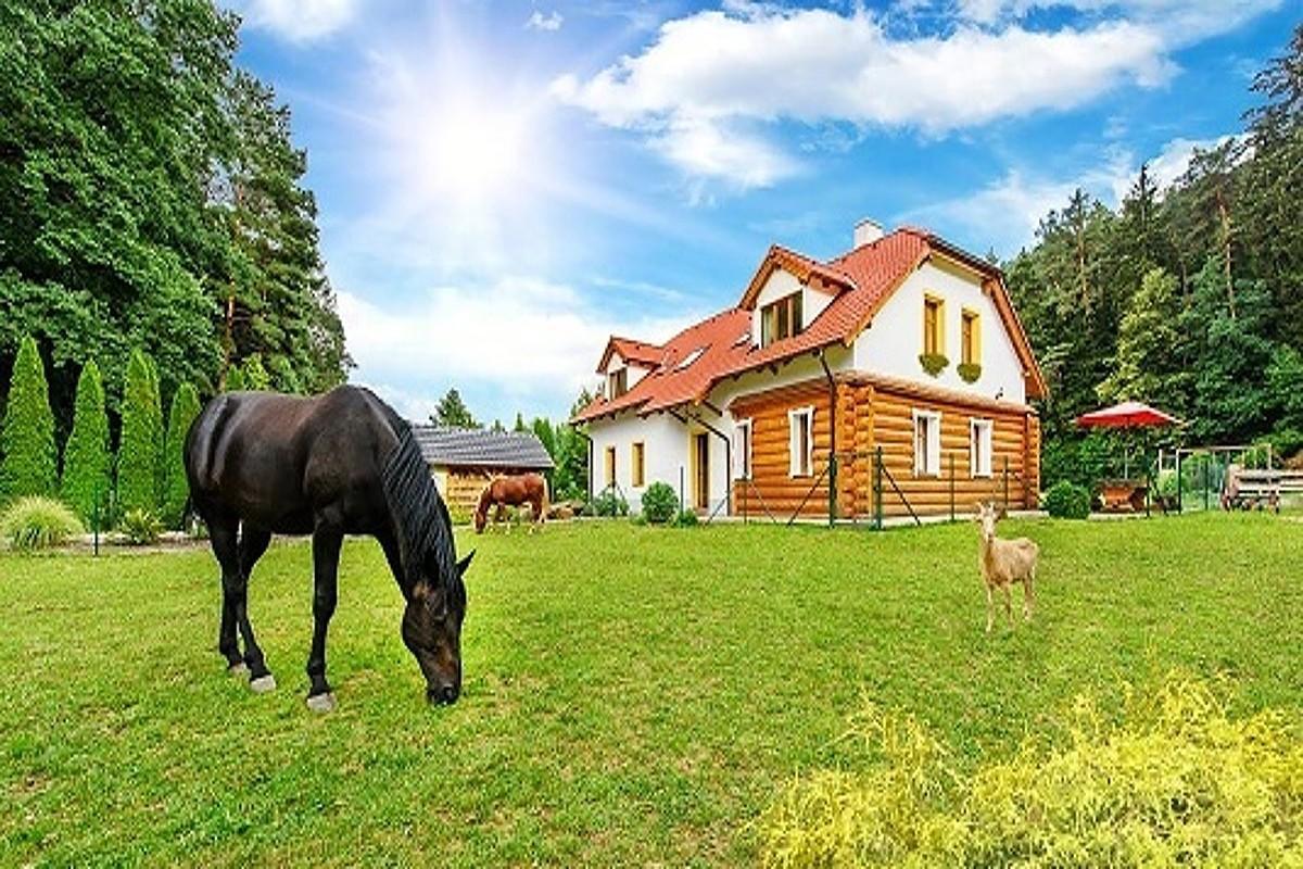 Farma Ztracenka Ξενοδοχείο Porici nad Sazavou Εξωτερικό φωτογραφία